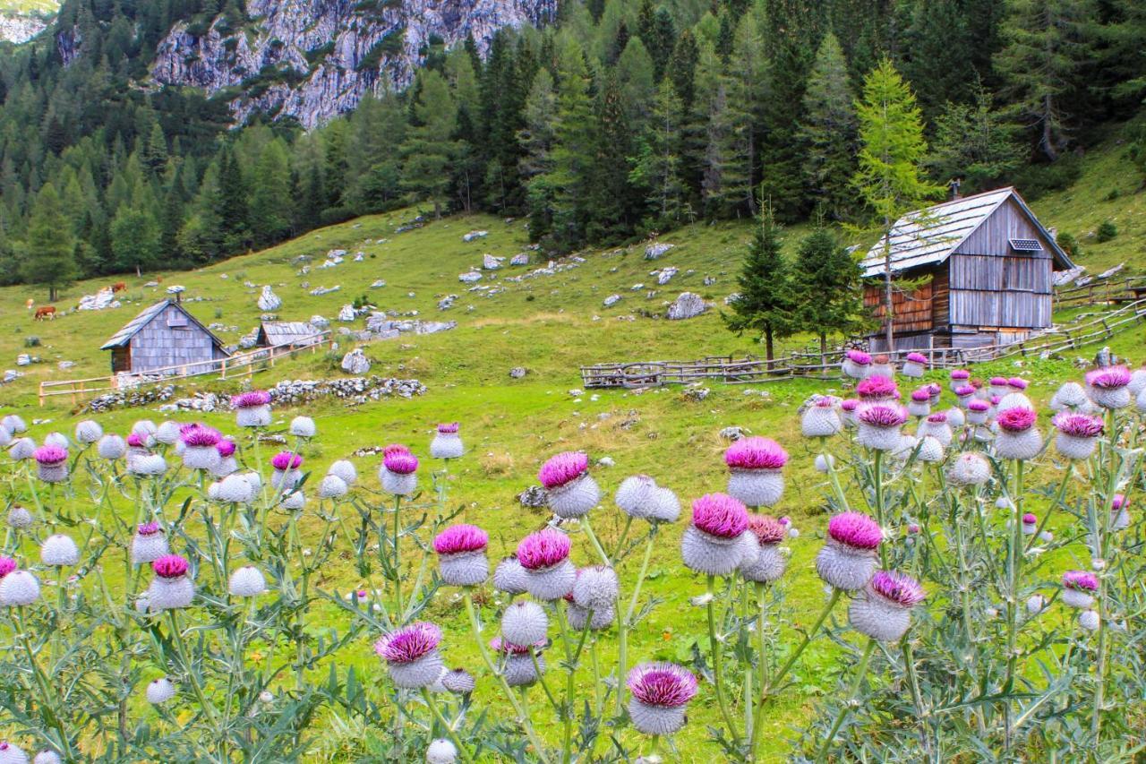 Cottage House Podgosar Bled Pokljuka Dış mekan fotoğraf