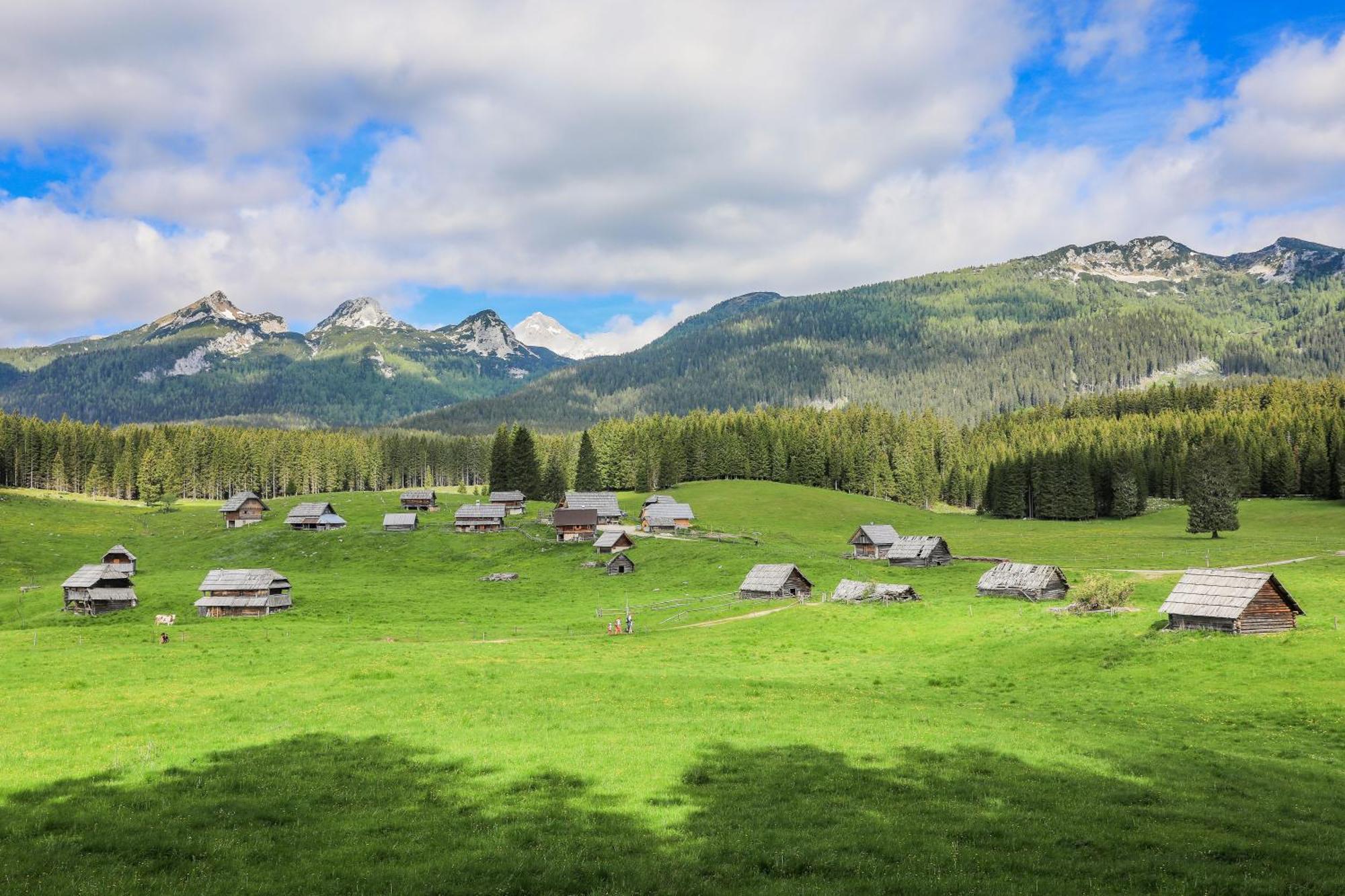 Cottage House Podgosar Bled Pokljuka Dış mekan fotoğraf