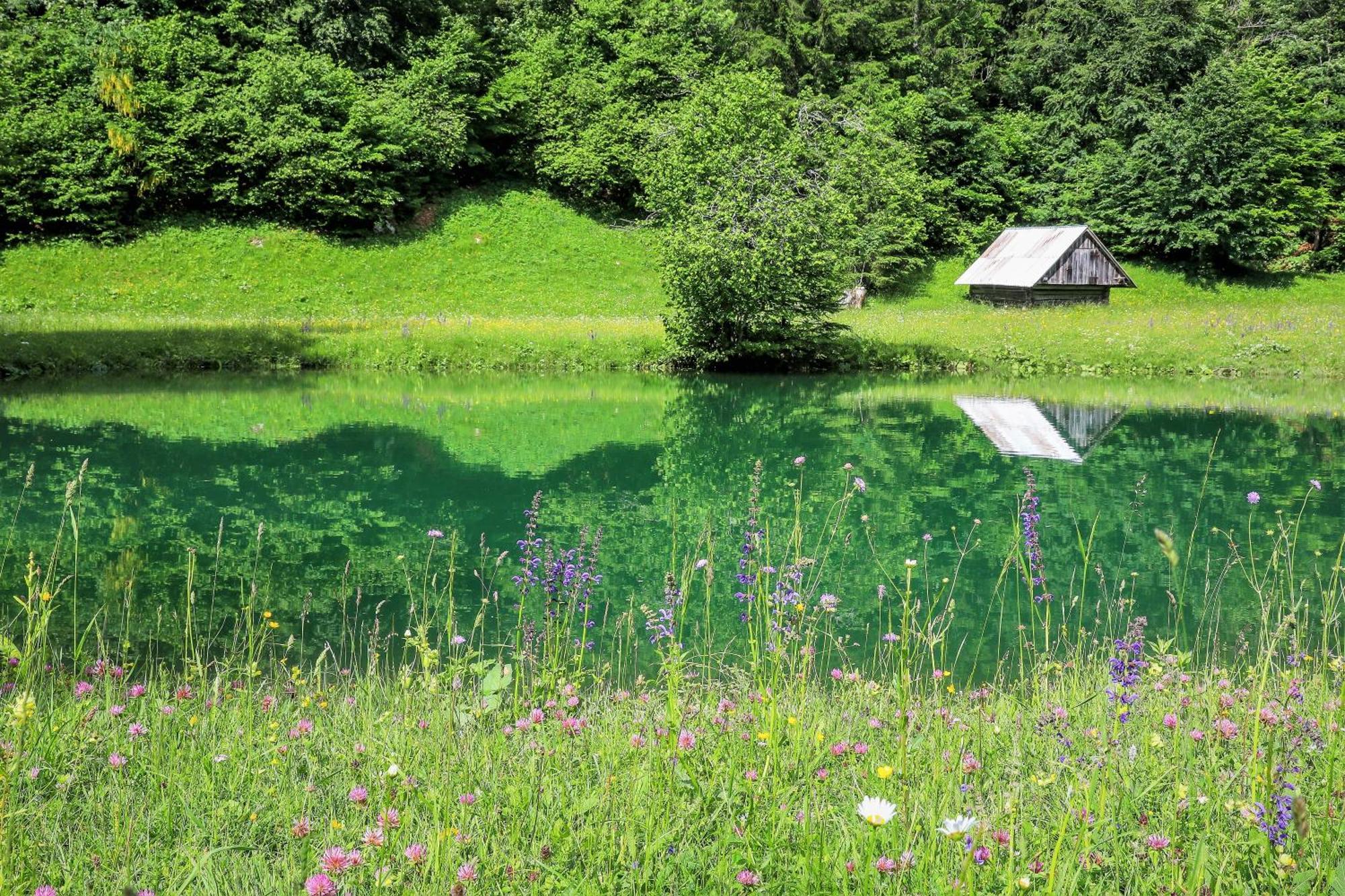 Cottage House Podgosar Bled Pokljuka Dış mekan fotoğraf